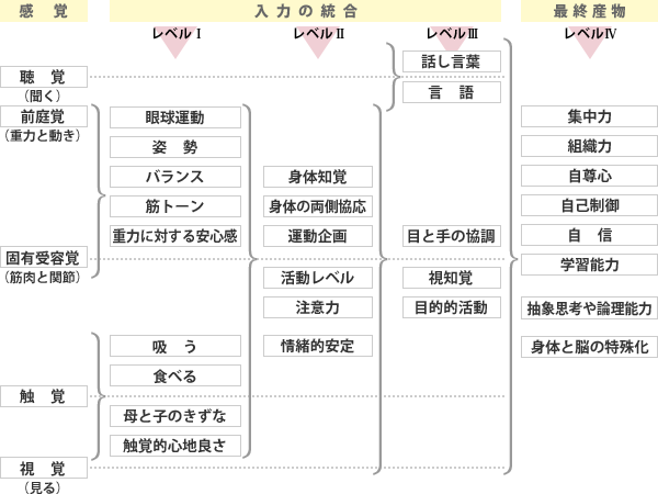 感覚およびその統合と最終産物